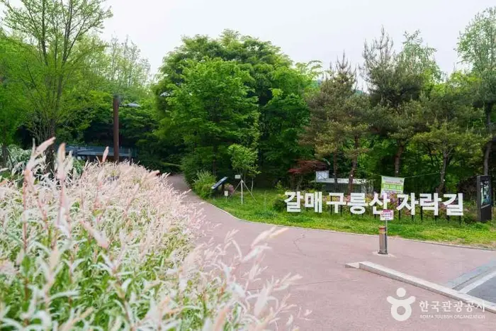 갈매구릉산자락길 · 문화시설