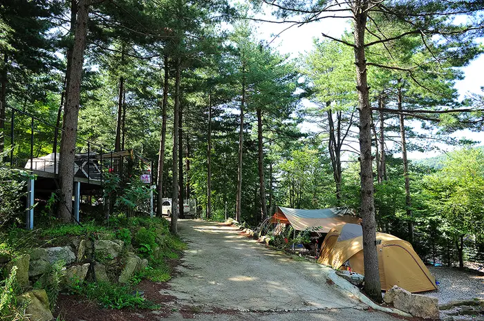 나무새캠핑장 · 레포츠