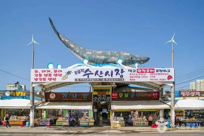 주문진수산시장 · 쇼핑