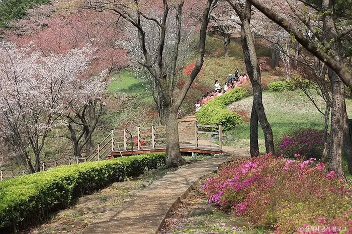 봉황산산림욕장 · 관광지