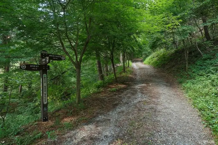 연화산둘레길 · 레포츠