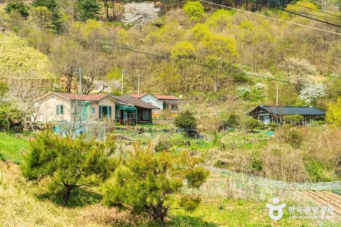 농평마을 · 관광지