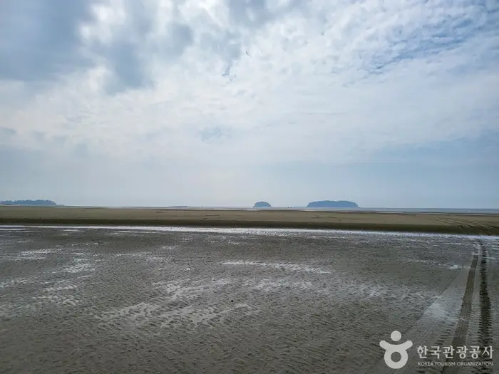 고창갯벌 · 관광지