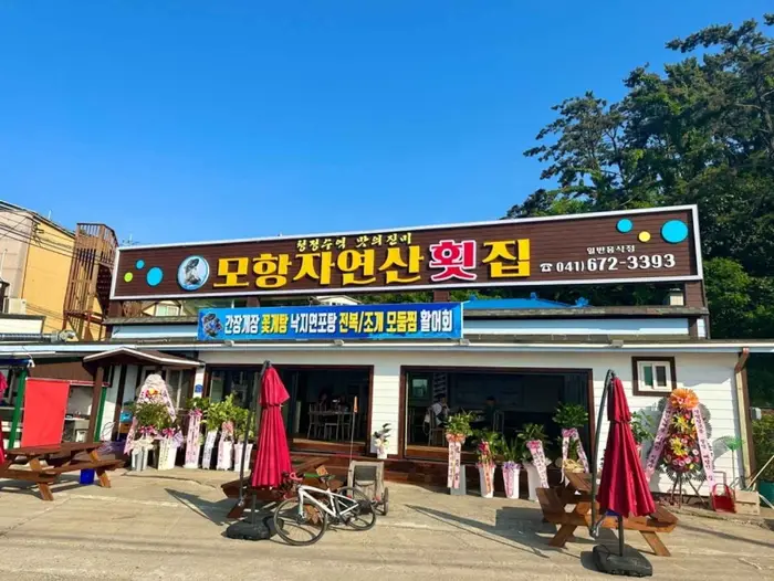 모항자연산횟집 · 음식점