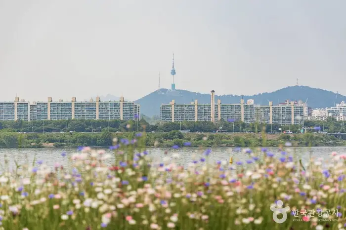반포 서래섬 · 관광지