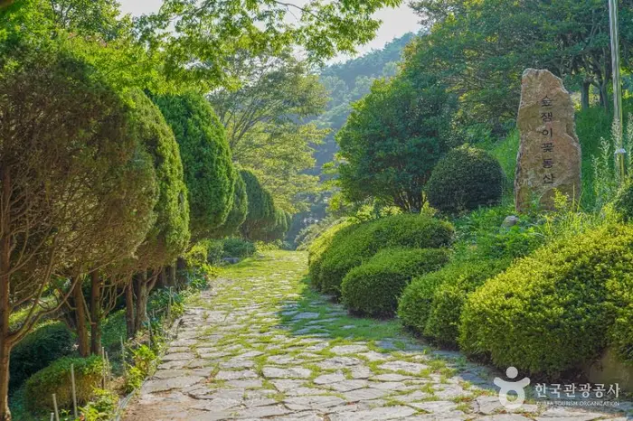 숲쟁이공원 · 관광지