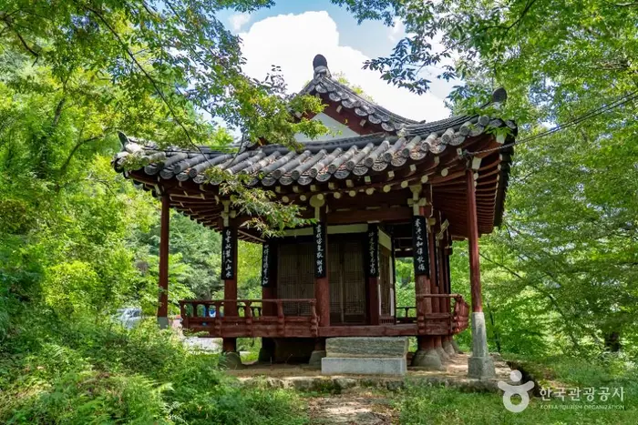 오괴정 · 관광지
