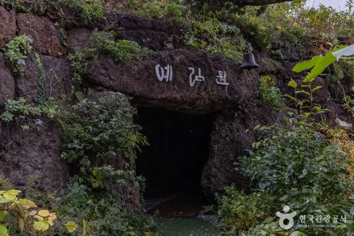울릉예림원 · 관광지