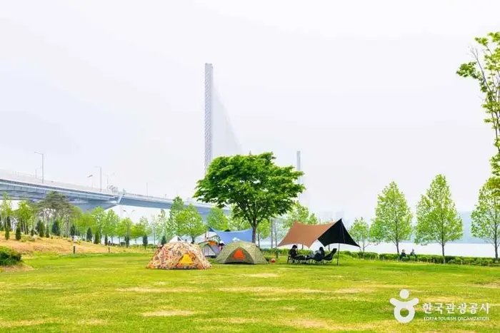 구리한강시민공원(코스모스공원) · 관광지