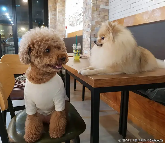 도기 · 음식점