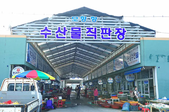 모항항수산물직판장 · 쇼핑