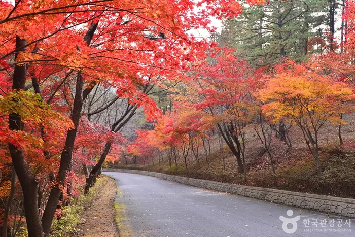 백아산자연휴양림 · 관광지