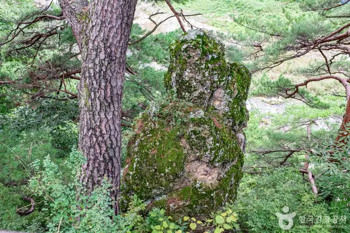 사랑바위 · 관광지
