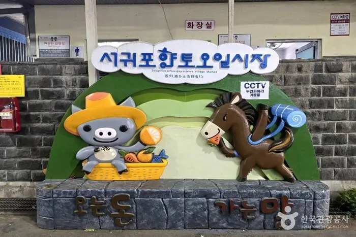 서귀포향토오일시장 · 쇼핑