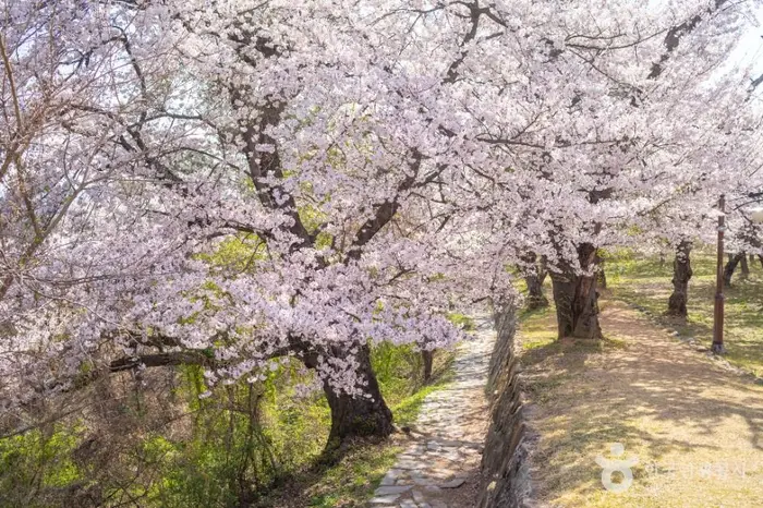 사천선진리성 · 관광지