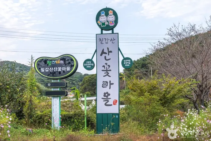 칠갑산산꽃마을 · 관광지