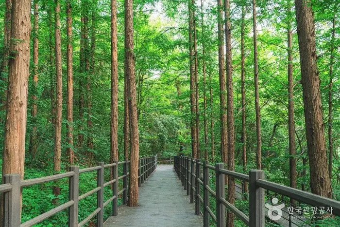 서대문 안산(안산자락길) · 관광지