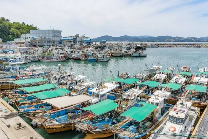 삼천포항 · 관광지