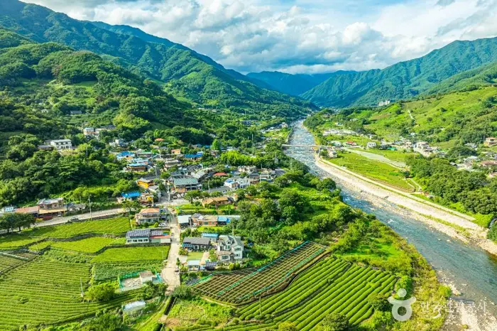 하동 삼신녹차마을 · 관광지
