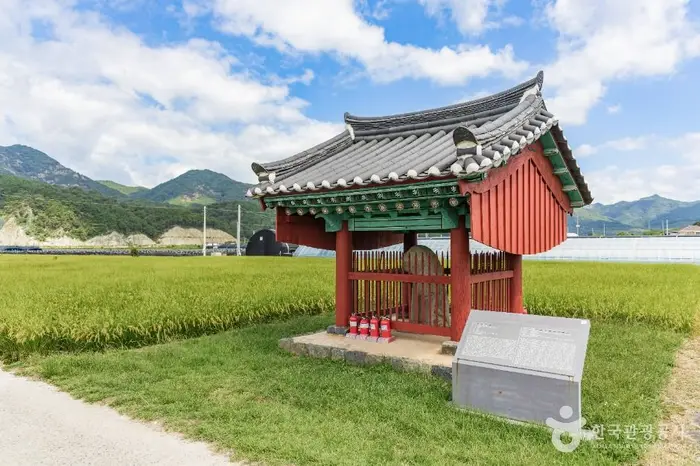 금산 천내리 용호석 · 관광지