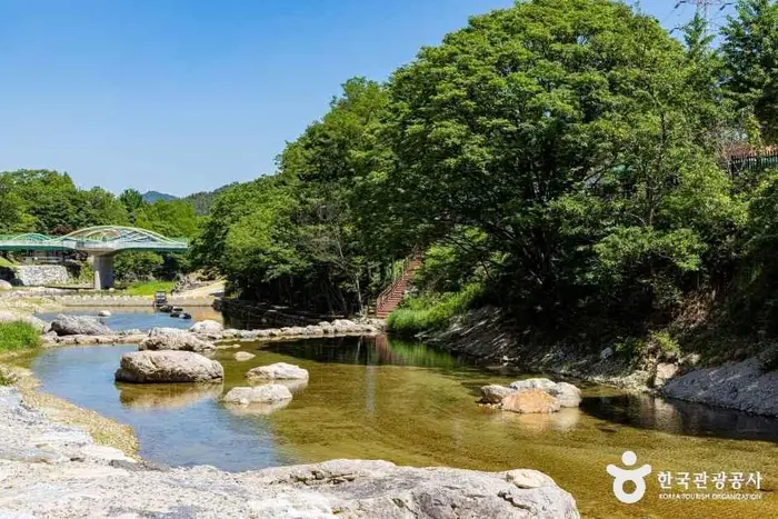 장령산자연휴양림 · 관광지