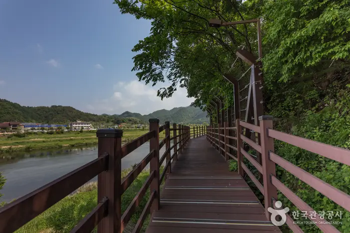 평창 평화길 · 레포츠