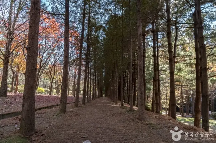 대원공원 · 관광지