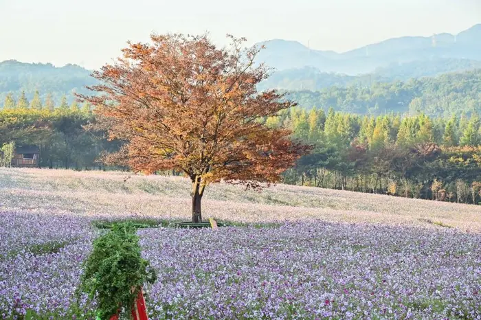 아그로랜드 태신목장 · 관광지