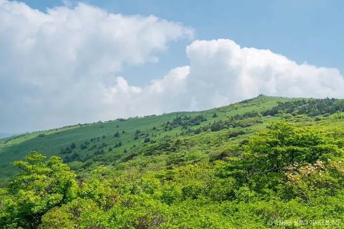 소백산국립공원(경북) · 관광지