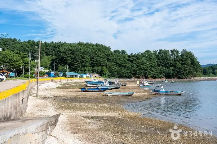 왕산포구 · 관광지