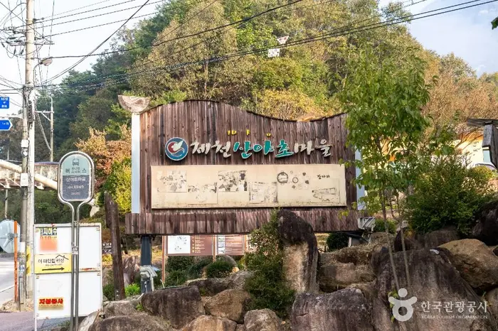 제천 산야초마을 · 관광지