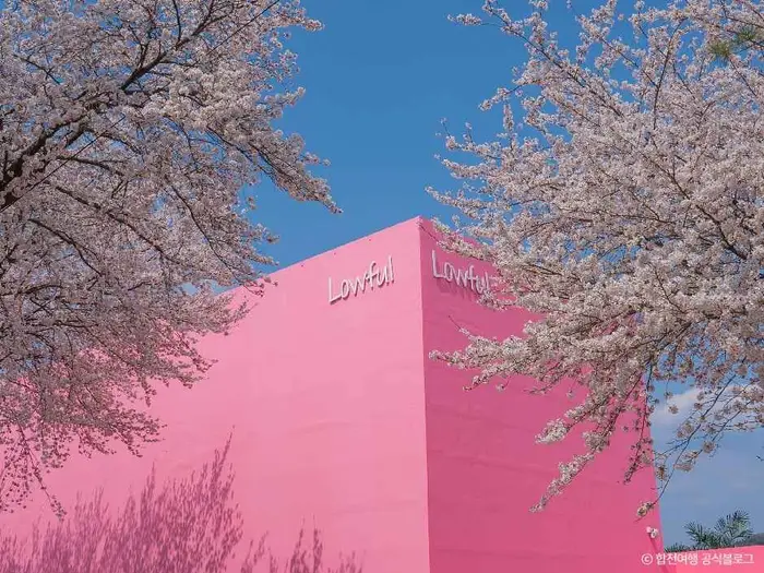 로우풀 · 음식점