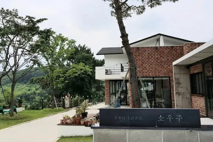소우주 · 음식점