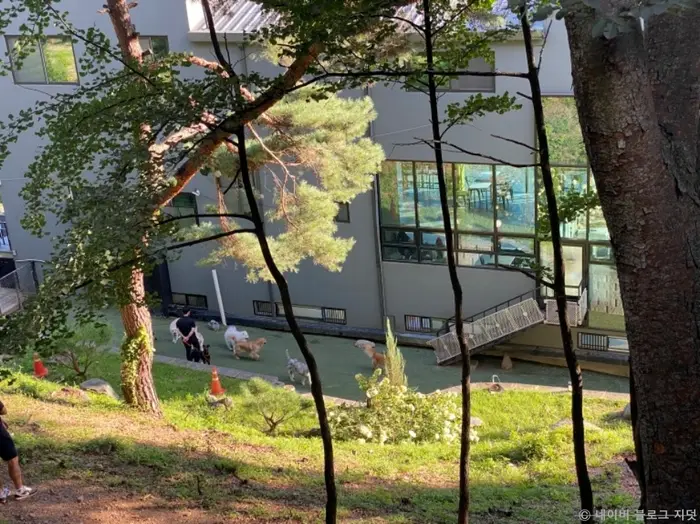푼타하우스 · 음식점