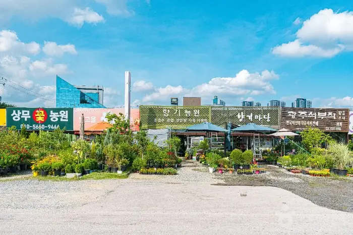 상무화훼단지 · 쇼핑