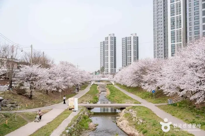 원성천 · 관광지