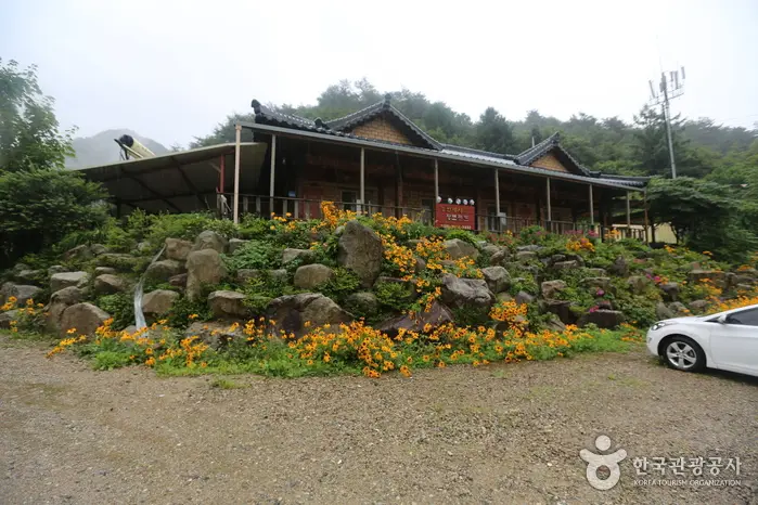 강변에서 황토콘도 · 숙박