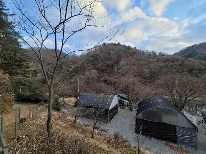 별드림캠핑장 · 레포츠