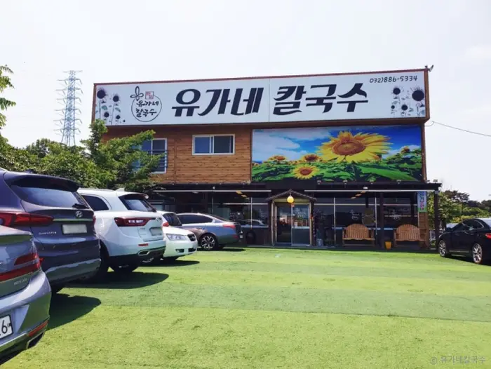 유가네 칼국수 · 음식점