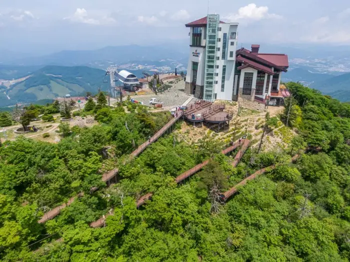 발왕산 천년주목숲길 · 레포츠