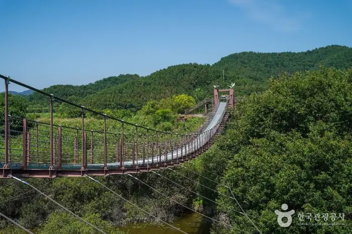 우포출렁다리 · 관광지