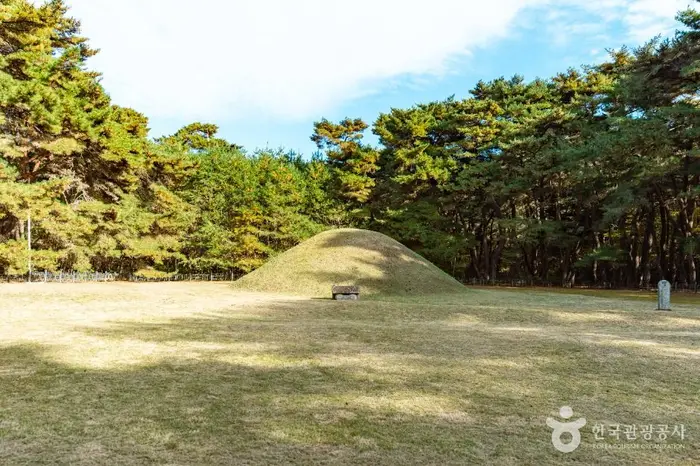 경주 경애왕릉 · 관광지