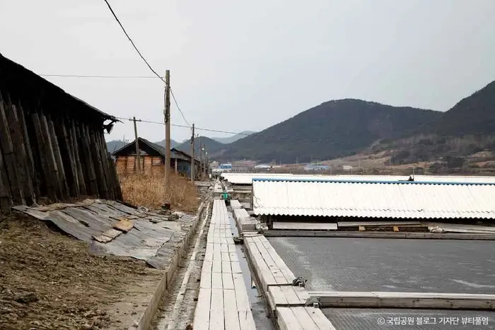 곰소염전 · 관광지
