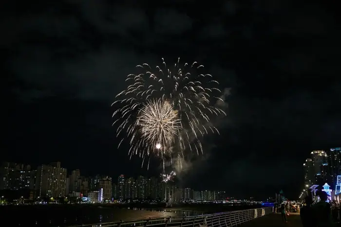 소래포구축제 포스터 사진 5