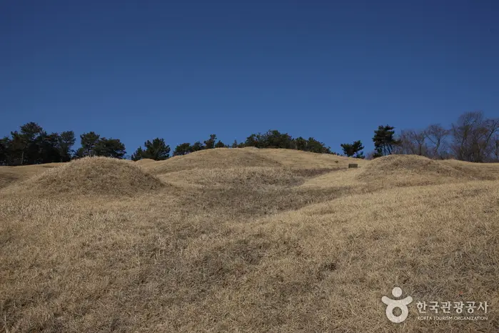 익산 입점리 고분 · 관광지