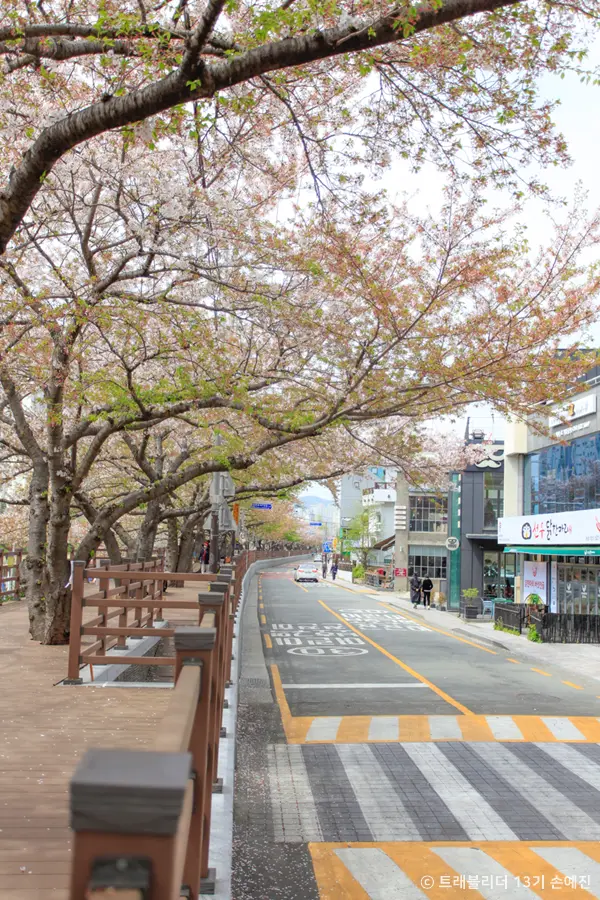 르쎄 · 음식점