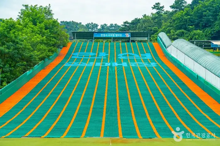 안성시 사계절썰매장 · 레포츠