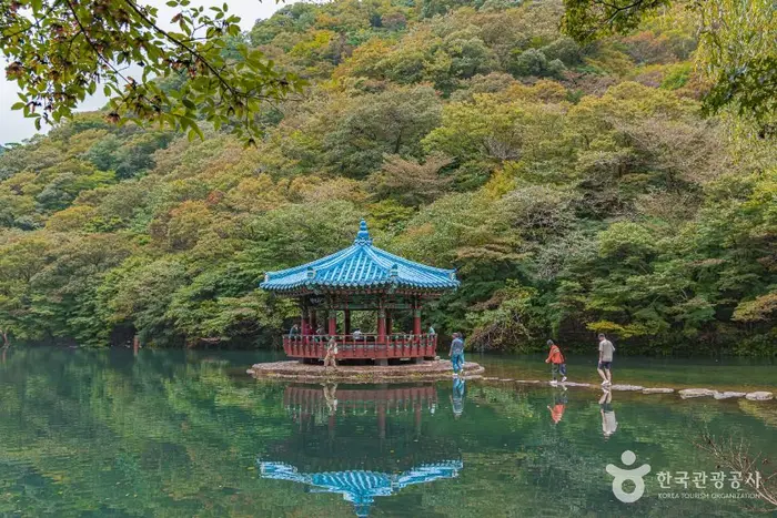 정읍 내장산 관광특구 · 관광지