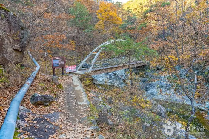 덕구계곡 트레킹 · 레포츠