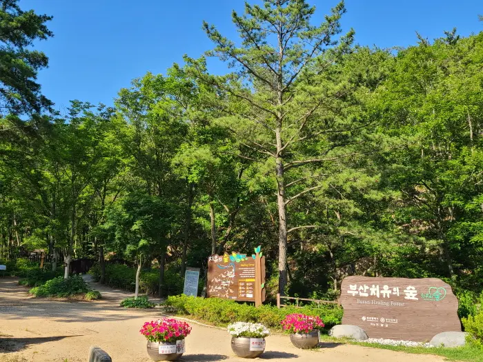 부산 치유의 숲 · 관광지